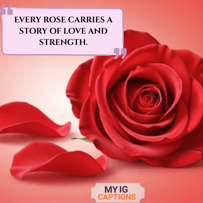 rose caption