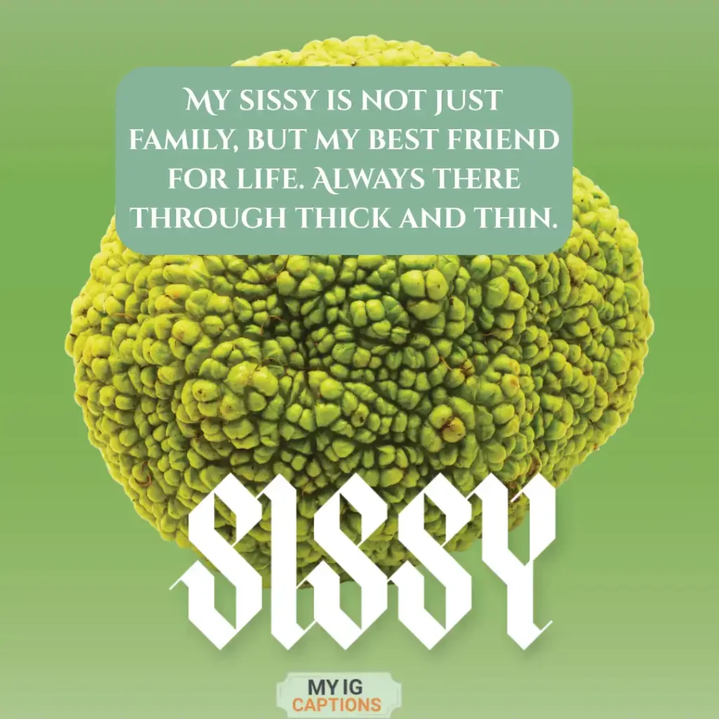 sissy caption